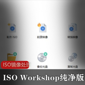 ISO Workshop纯净版