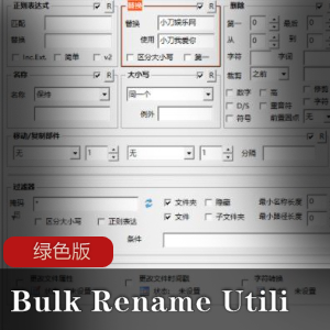 Bulk Rename Utility绿色版