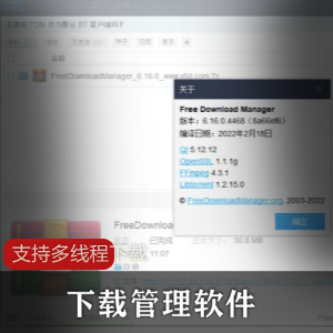 Free Download Manager支持多线程下载